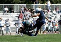 Football - 10/11/2008