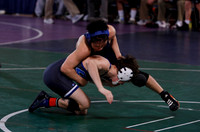 Men's Wrestling
