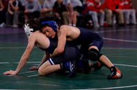 Men's Wrestling