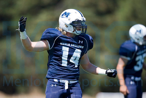 Menlo College Oaks